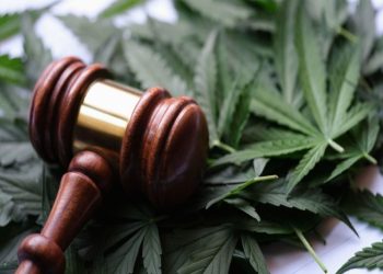 Cannabis Crossroads: Record US Demand Meets Federal Gridlock