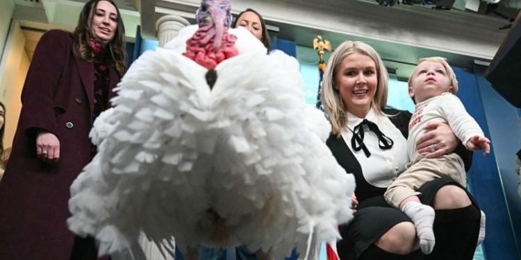 How the White House turkey pardon became an American tradition